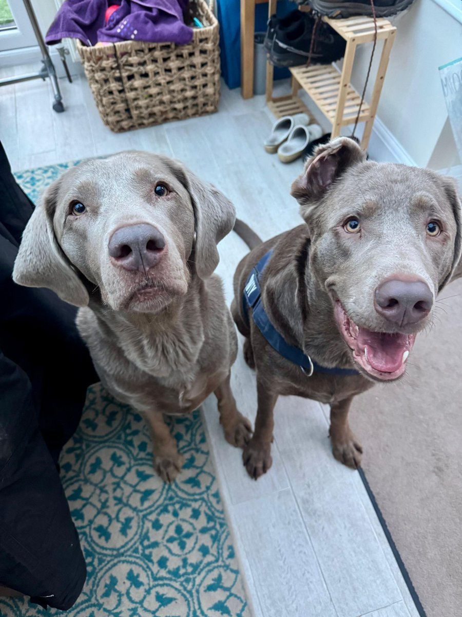 The Windmill, Clapham tweet media