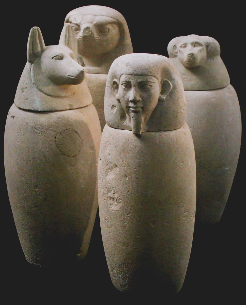 Ana Ramírez García-Mina tweet media