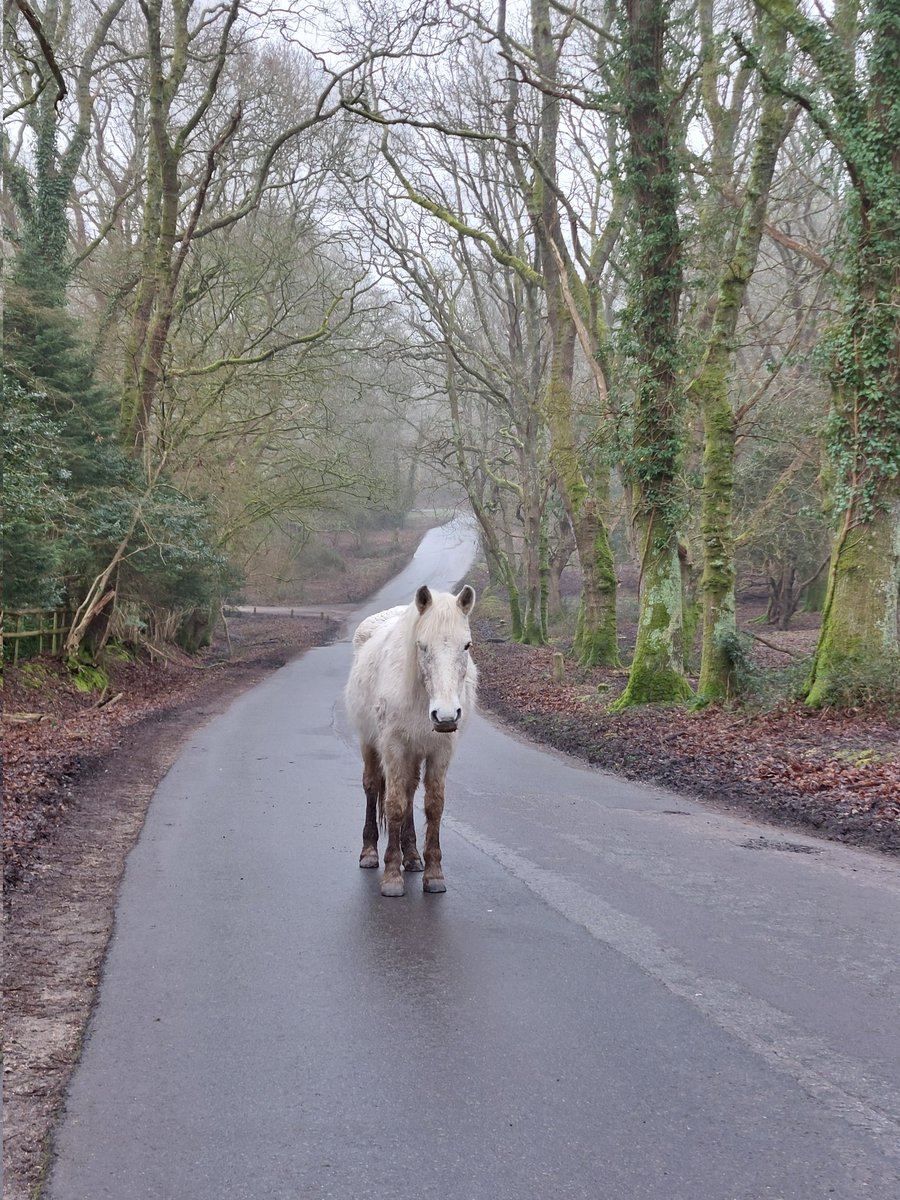 Phill Denson tweet media