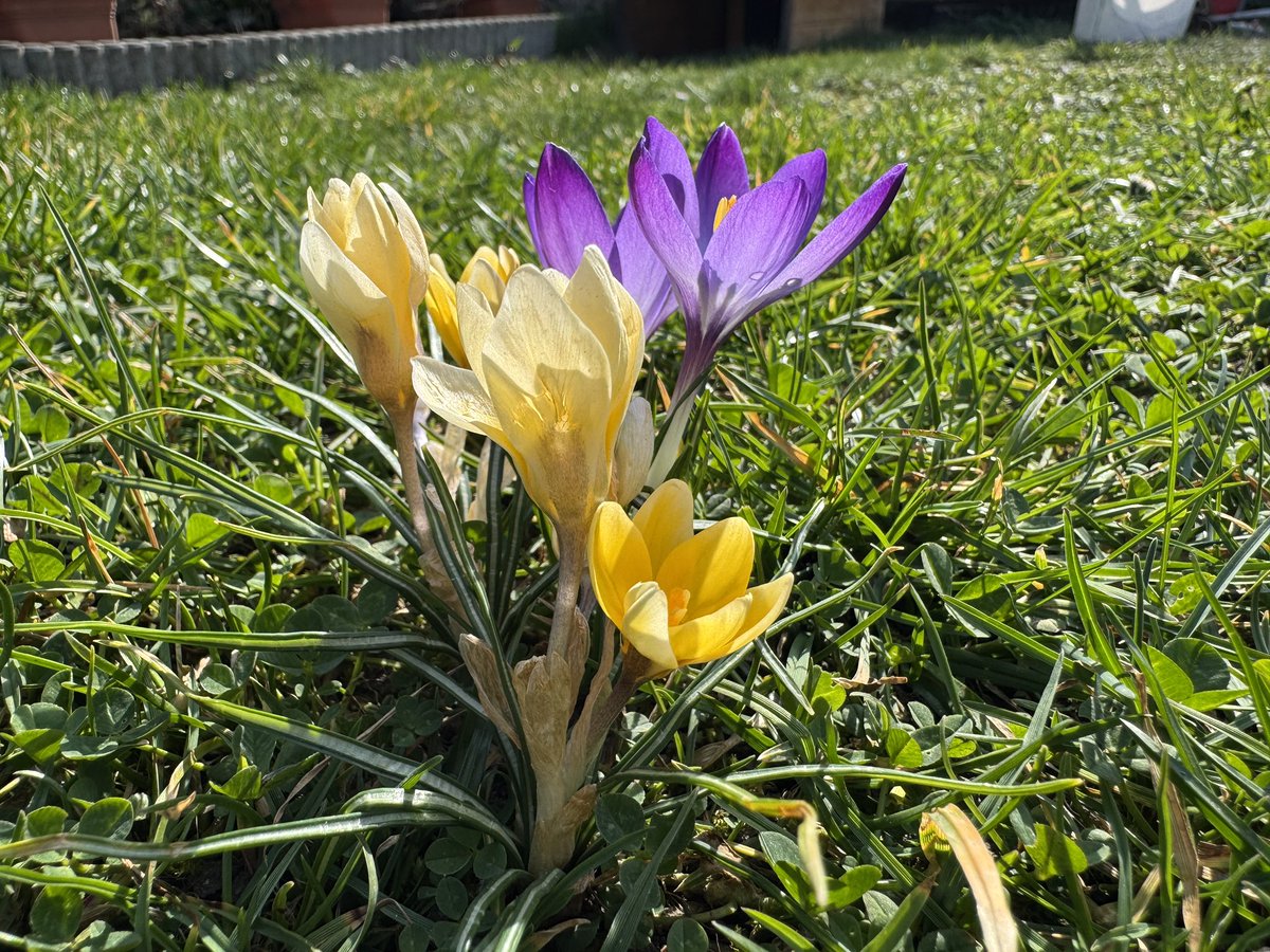 Něco z našeho dvorečku...😉