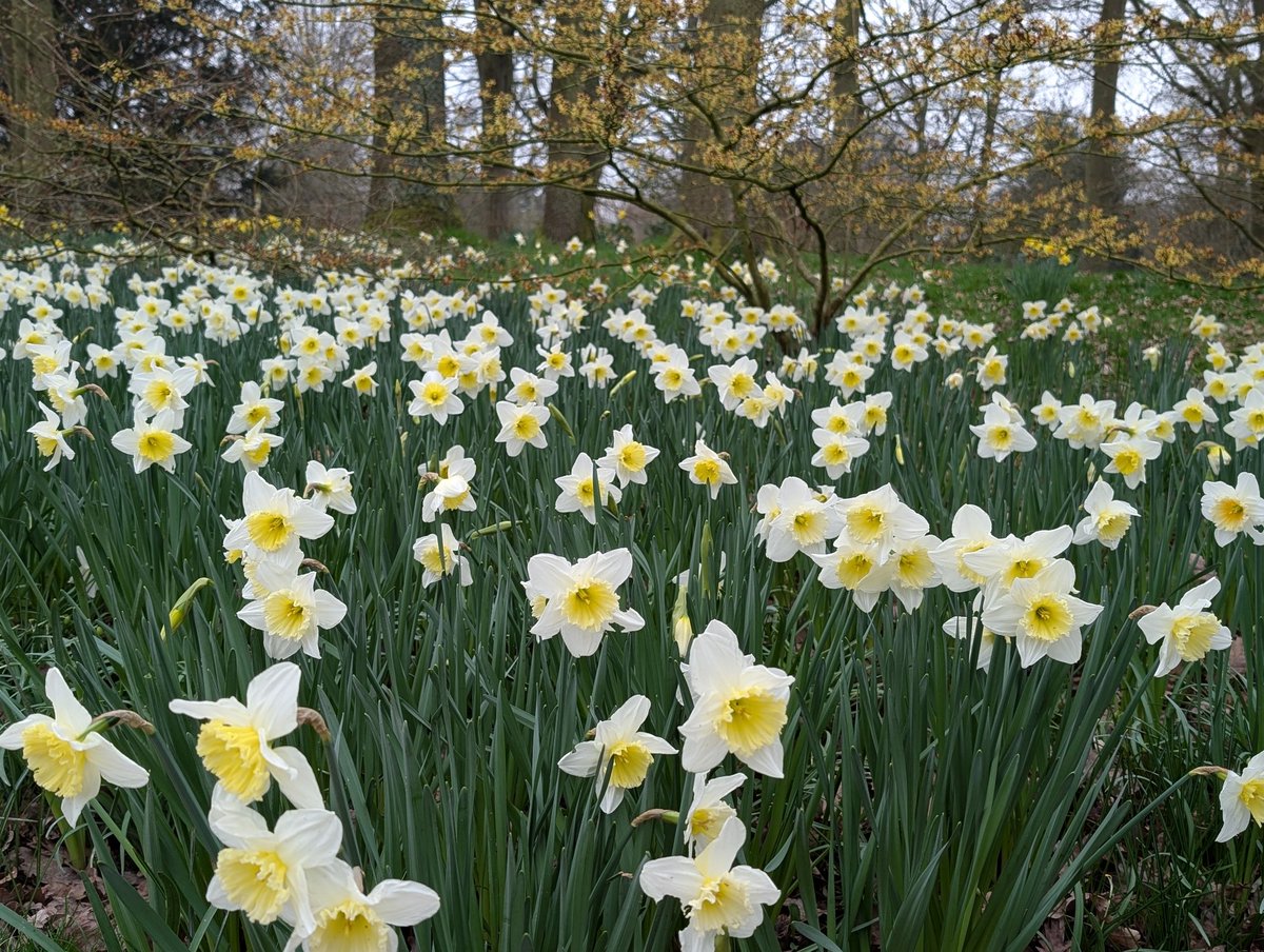 🌱Alison Moore 🐝 tweet media