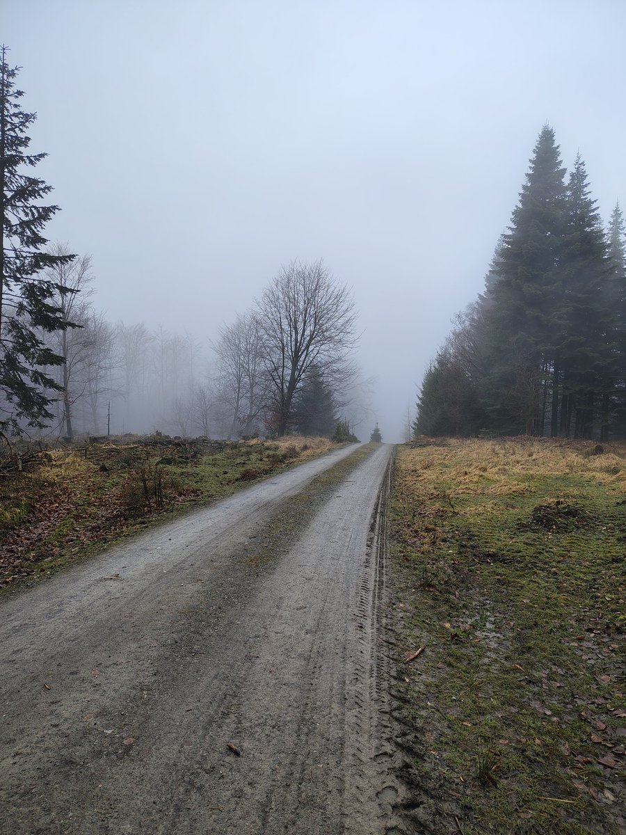 davstier's tweet photo. Viel Nebel am Hermannsdenkmal. Heute ging's zum ersten Mal 2x rauf. Viele Höhenmeter und kilometerlange Anstiege, aber halbwegs entspanntes Tempo nach 60 Minuten Handball gestern Abend. #davidl
16,3 km | 1:36:10 h | 562 HM | 304 KM https://t.co/ROcZZ6t7aZ
