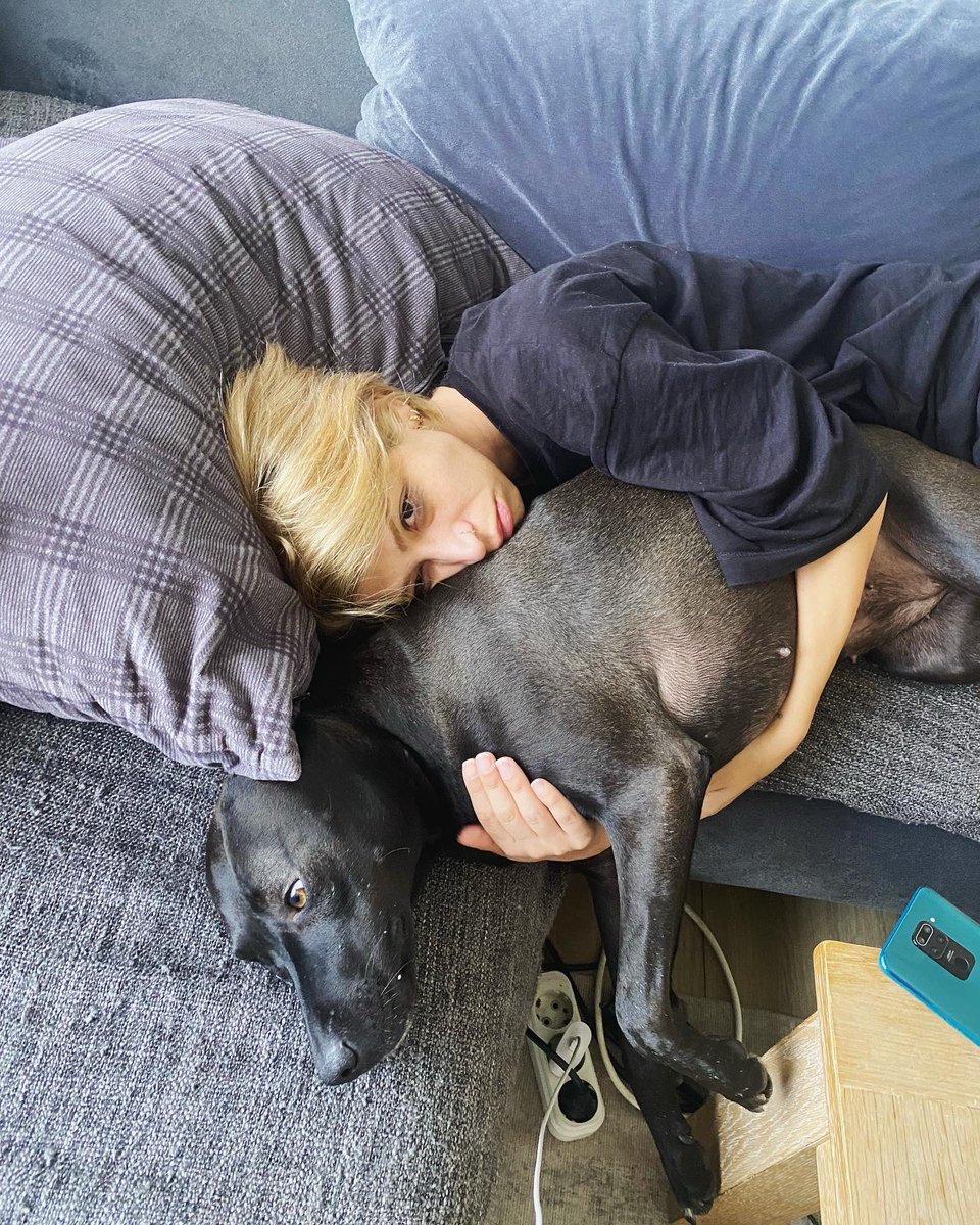 Elif Ozkan tweet media