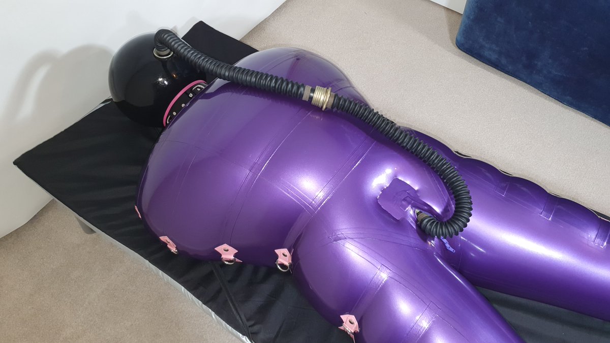 Skunkpet tweet media