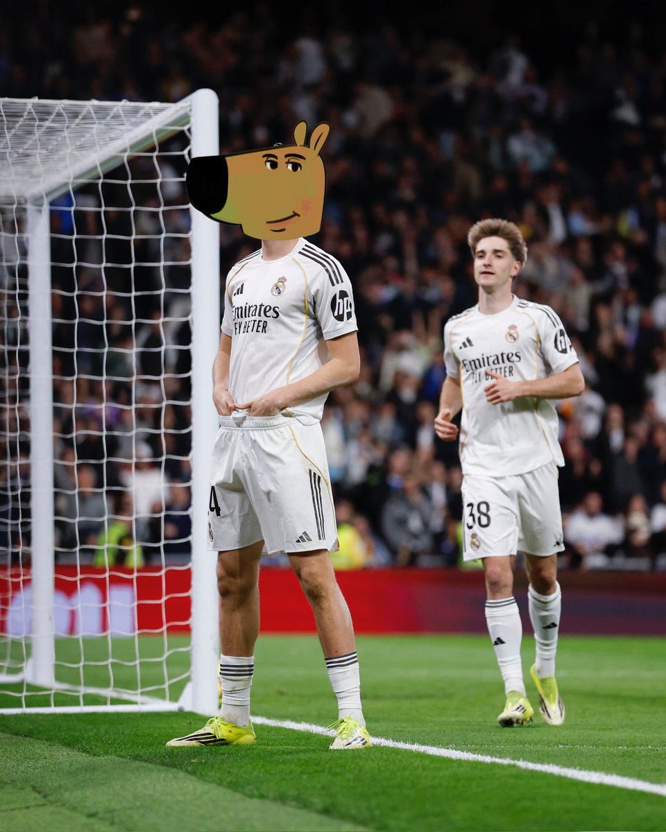 just a chill guy | fan page tweet media