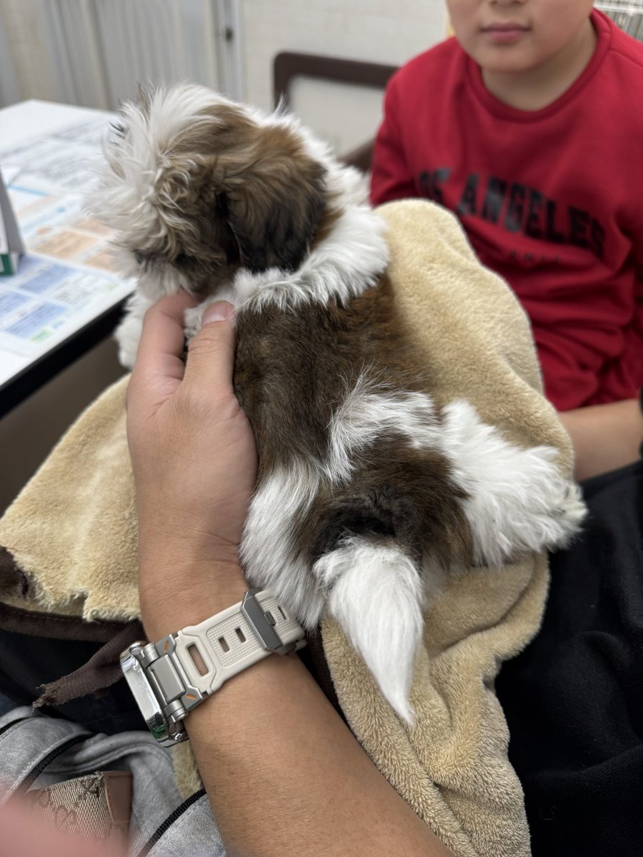 🌸 CHIE 🌸 tweet media