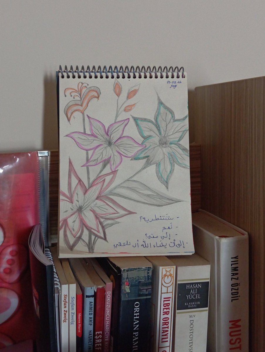 avukat sevgos 🧚🏻‍♀️ tweet media