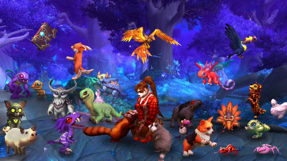 Bears Adventures tweet media