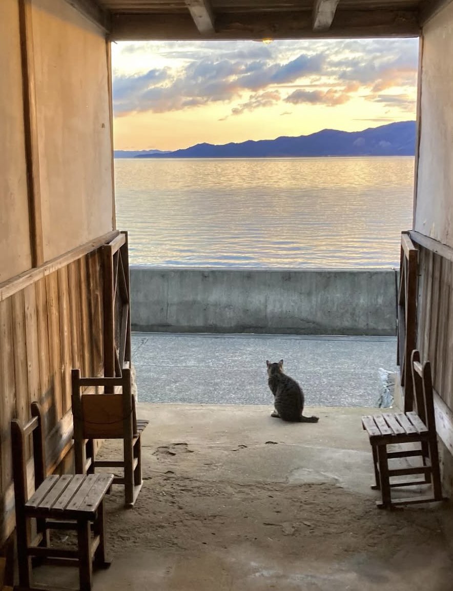 voshans's tweet photo. Zondagochtend…
#Kagawa #Sanagi #Japan
#fotografie #photography
#travel #travelphotography
#landscape #landscapephotography
#natuur #nature #naturephotography
#sea #zee #seaview #zeezicht #cat #kat https://t.co/NpmOrVD5e1