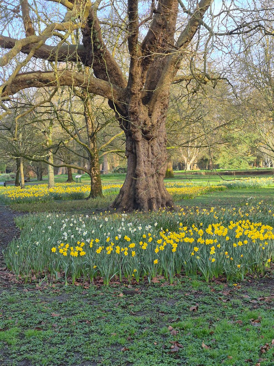 Princess Katharine tweet media