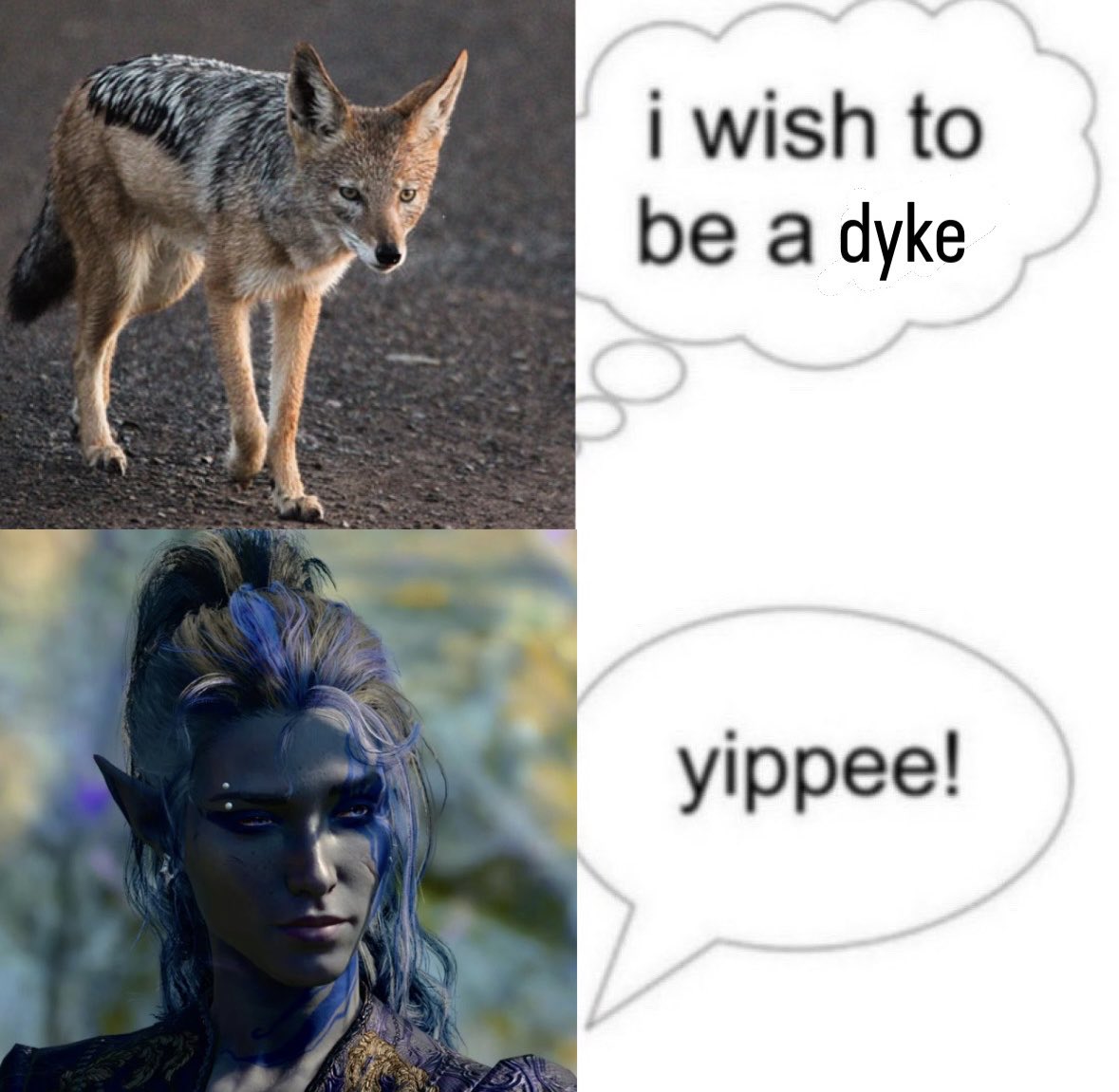 ila / arwyn tweet media