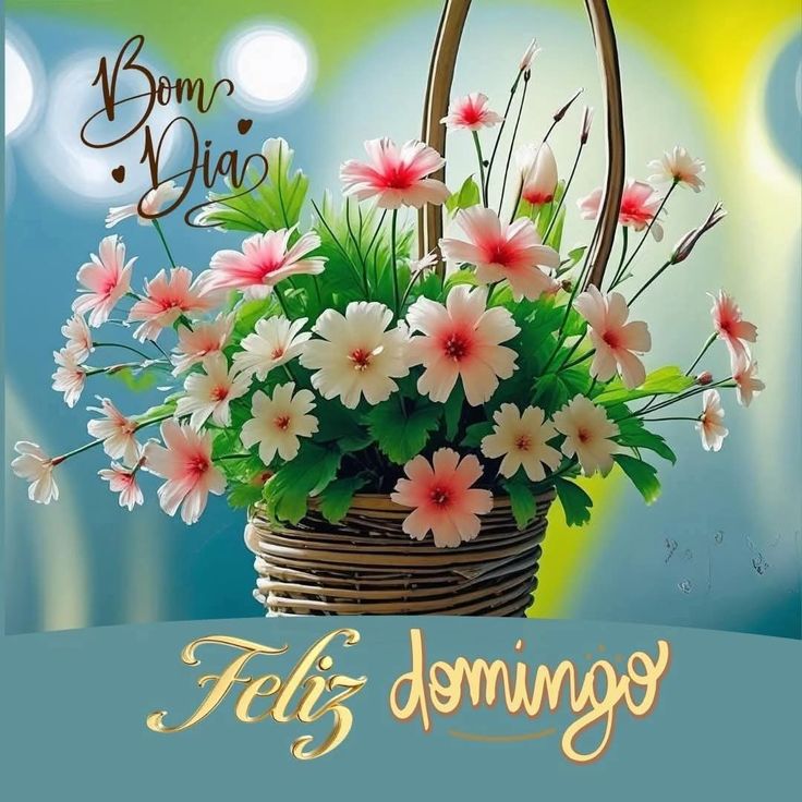 gmdancona's tweet photo. Ótimo domingo.  😊🌹💌 https://t.co/HJBaOmR0sW
