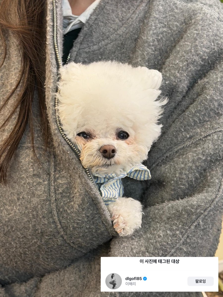 nyeng_85's tweet photo. 해리언니 품에 포옥 안겨있는 강후지 너무 귀엽네 ..♡ https://t.co/jzdxFlUmaA