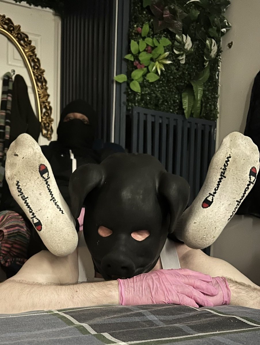 Master Bally 🥷🏾 tweet media