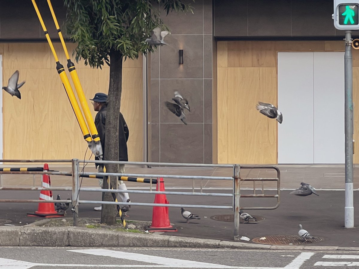 ニュー伊吹 tweet media