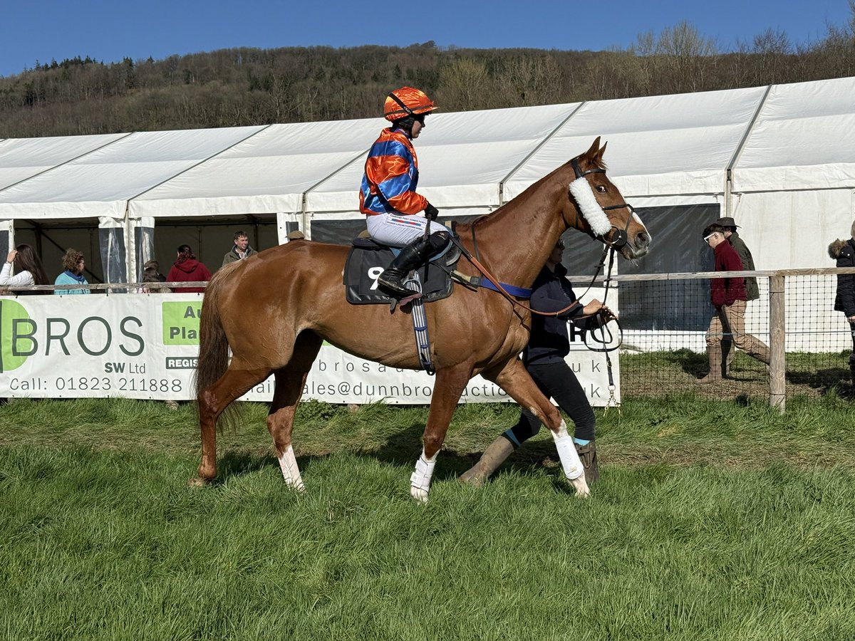 Mel Smith Bloodstock tweet media
