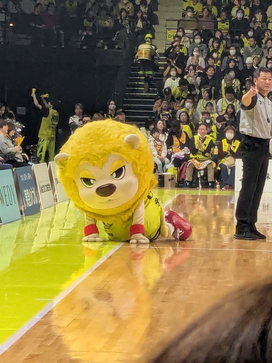 terazo73's tweet photo. 相変わらずティナは可愛い❤
そして自由だ🤣
東北ダービーナイスゲーム！
#89ers#Bリーグ https://t.co/DMkiNbI2wg