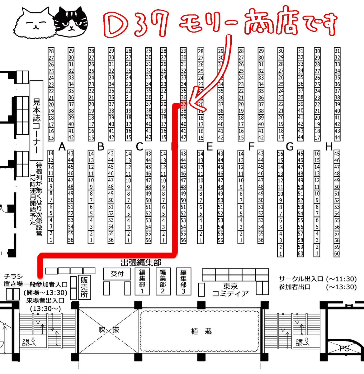 forest molly tweet media