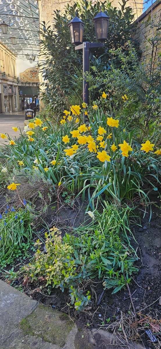 barbmilne's tweet photo. A Sunday morning shout out @forwardnotback #ImperialArcade #Huddersfield #spring 🌼 https://t.co/segpcMHExZ