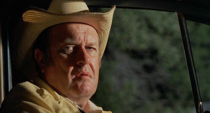 Stephen Gibbons tweet media