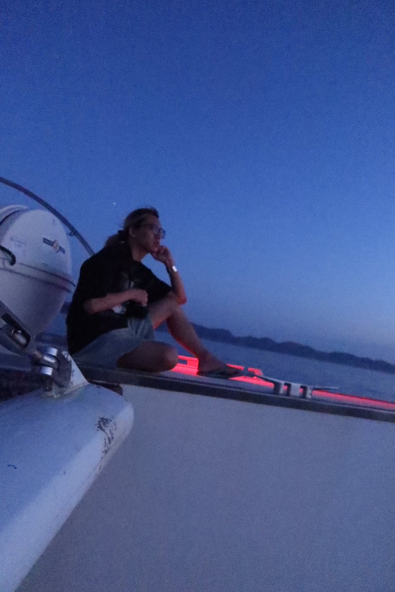 Safeinaaaa！ tweet media