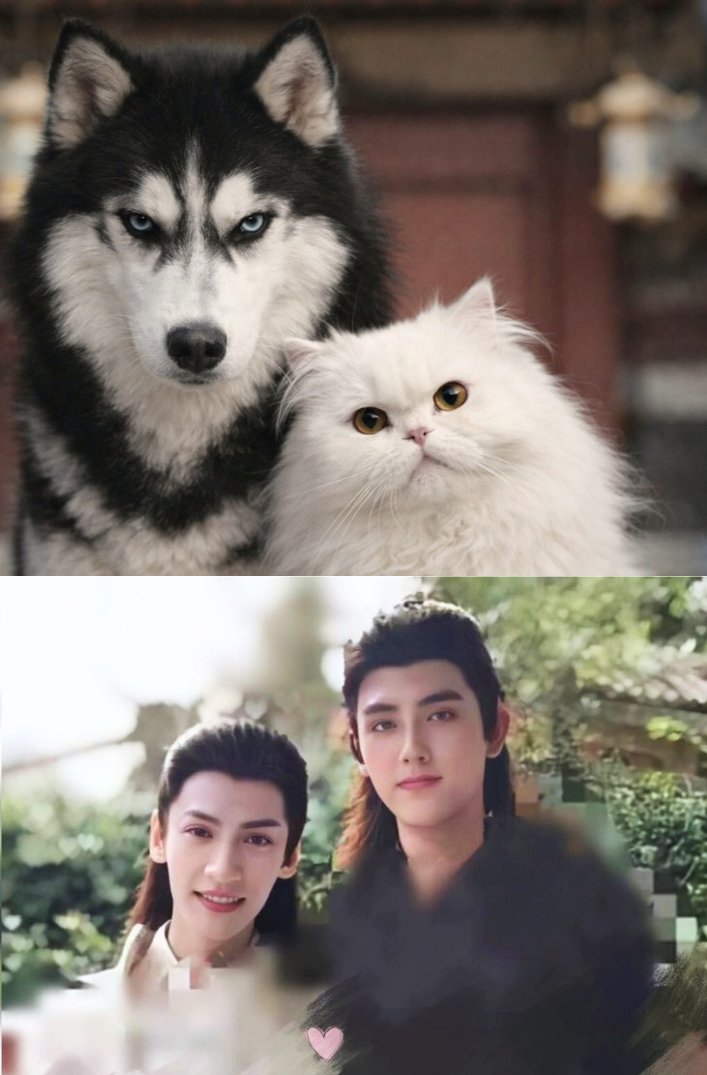 • Soph • 🦋🌸 hexie-pilled tweet media