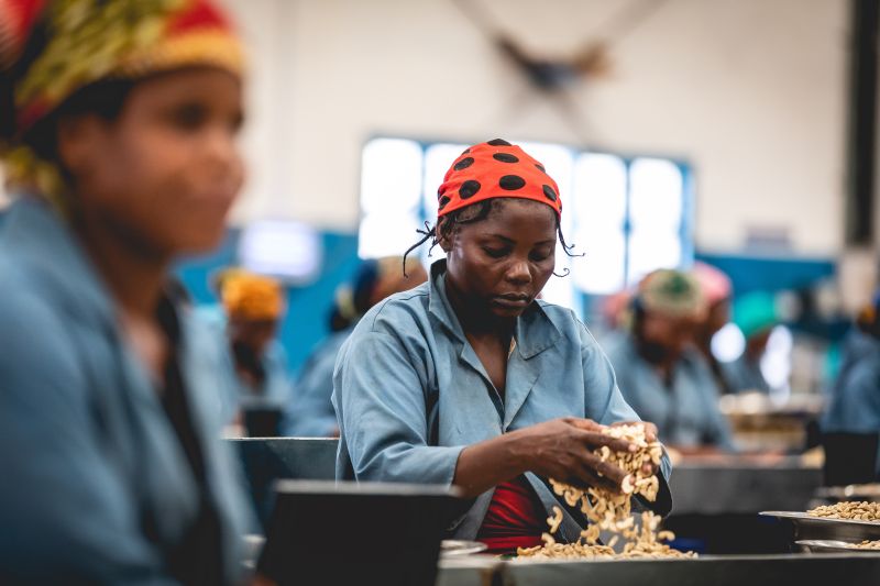 AFD_en 🇫🇷 🇪🇺 tweet media