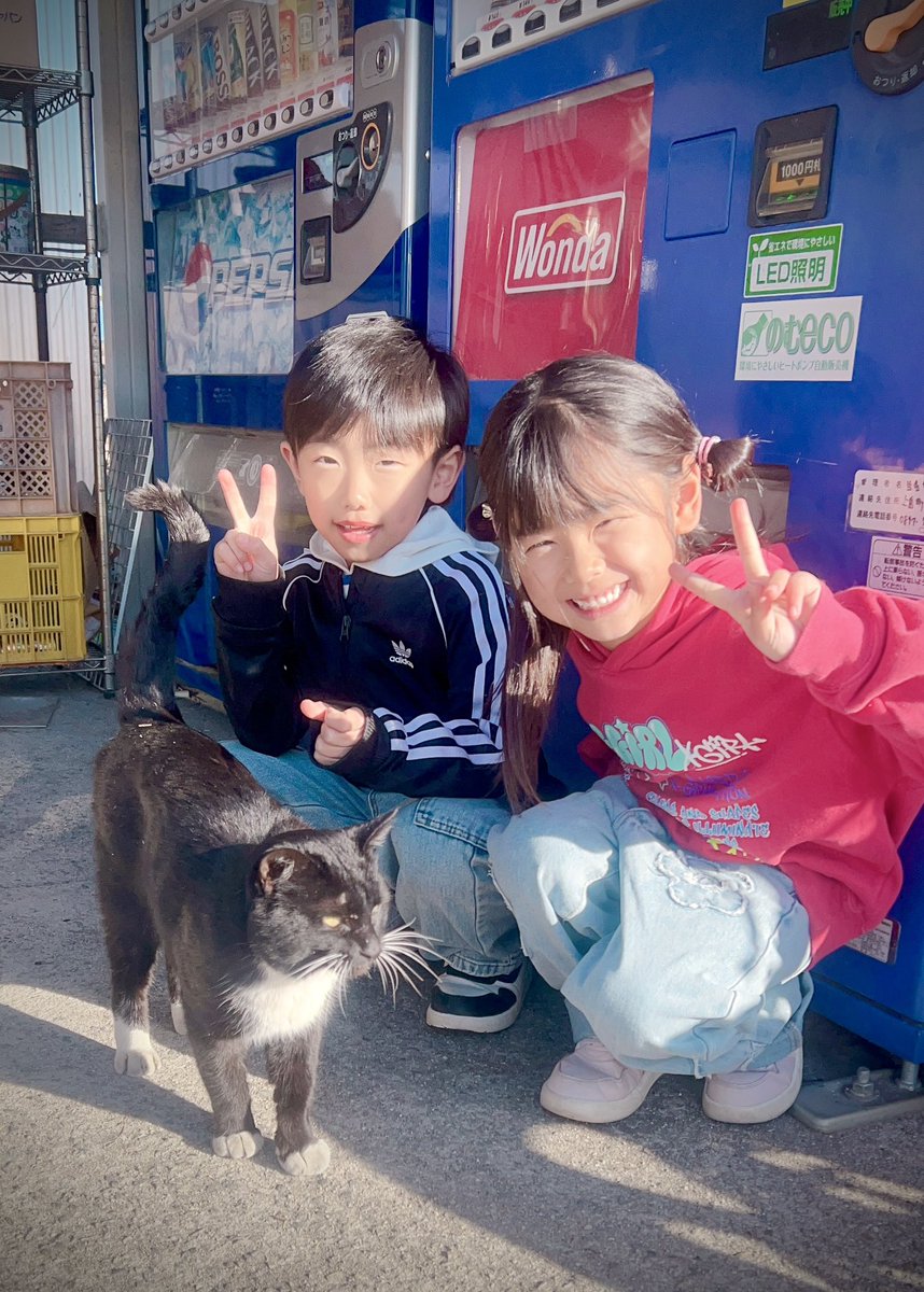 すずPABO❤︎ tweet media