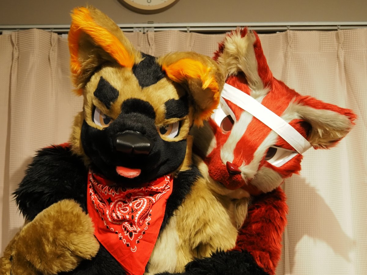 よど/Yodo tweet media