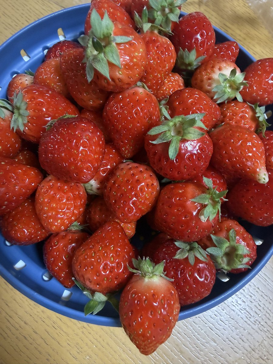 Masayoshika's tweet photo. これで1000円！！ https://t.co/TWXyyCHd5Q