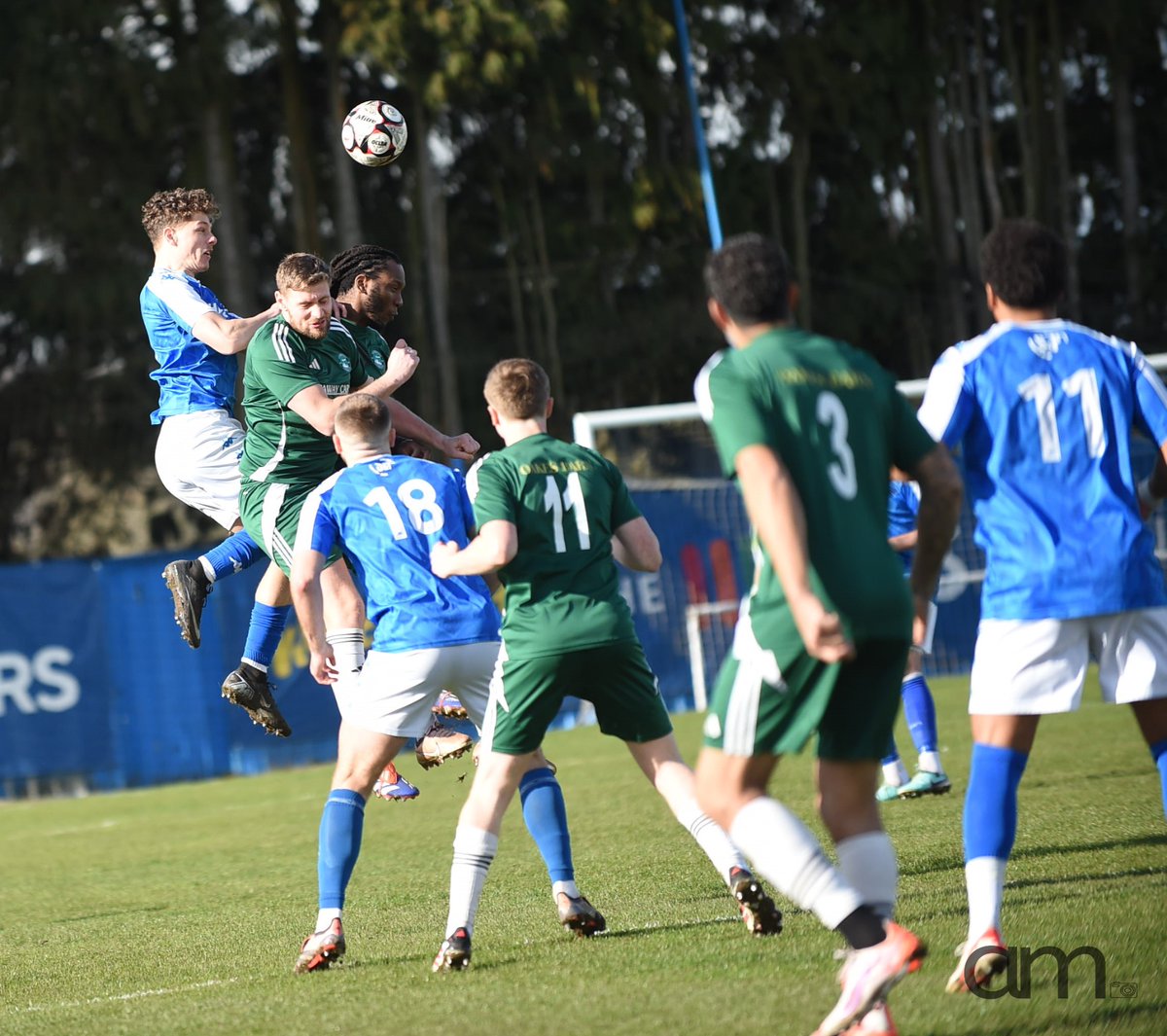 Angela Mrozek tweet media