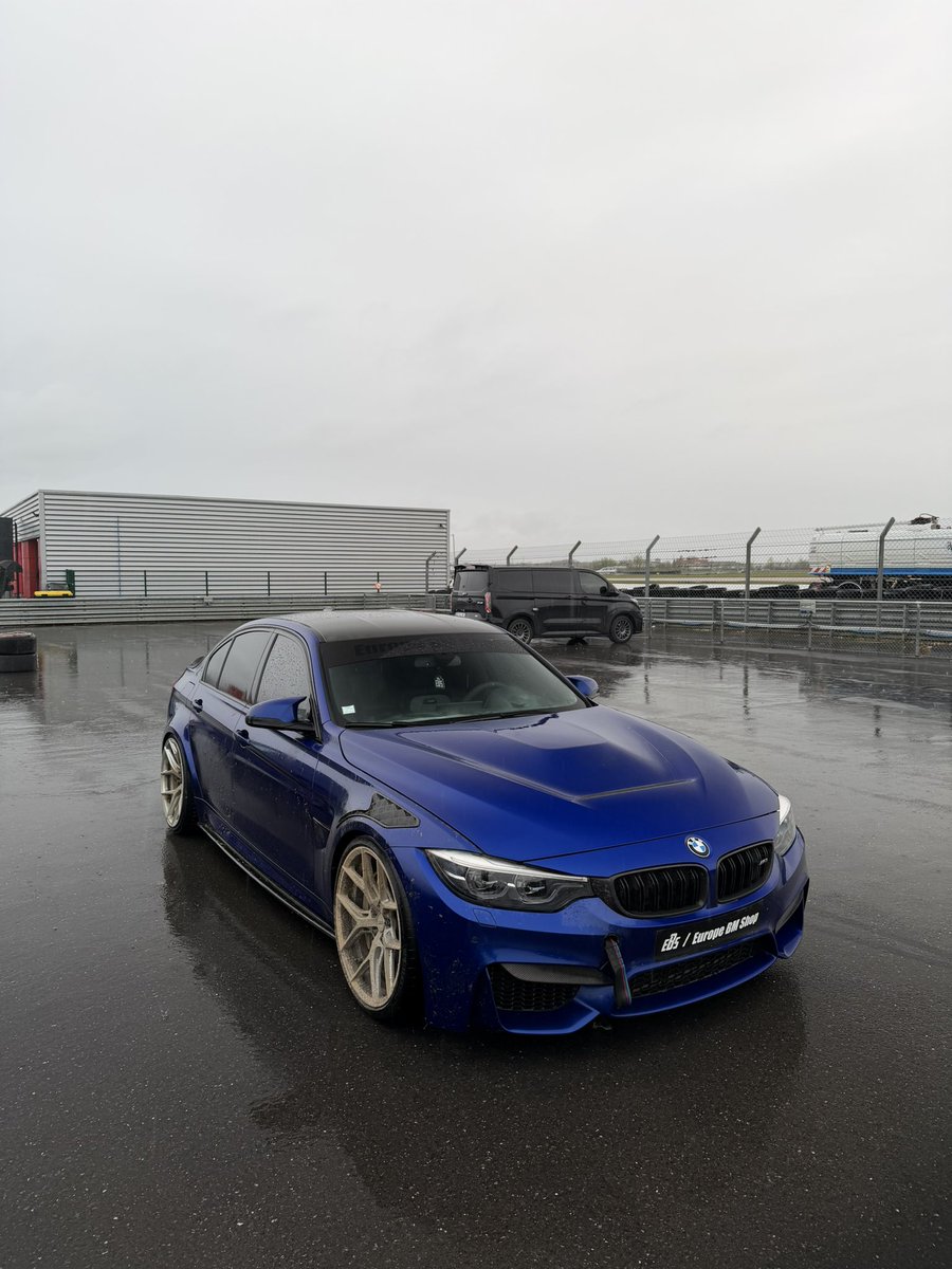 Exotics Master tweet media