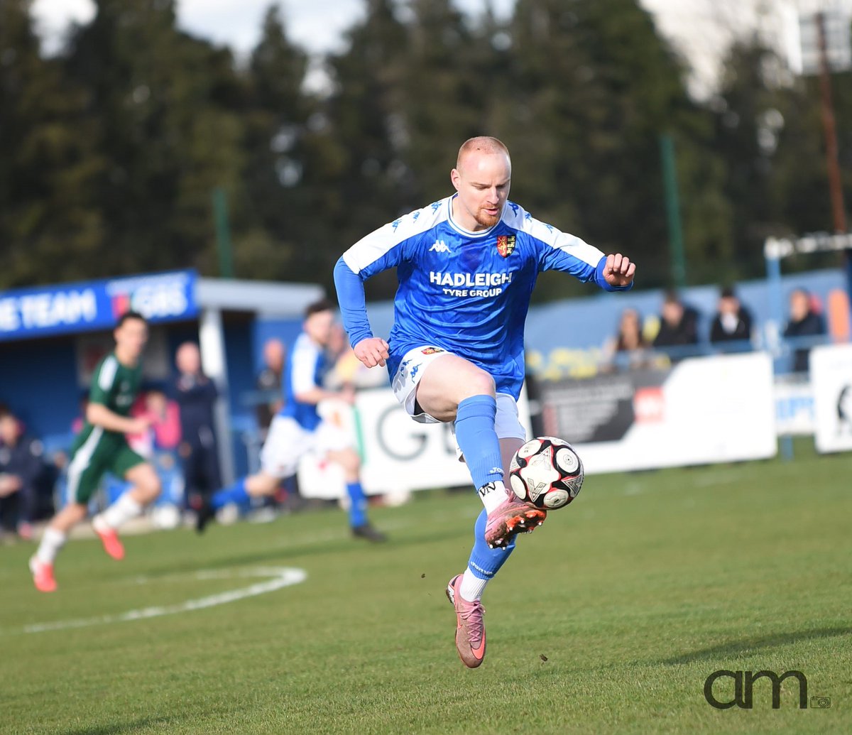 Angela Mrozek tweet media