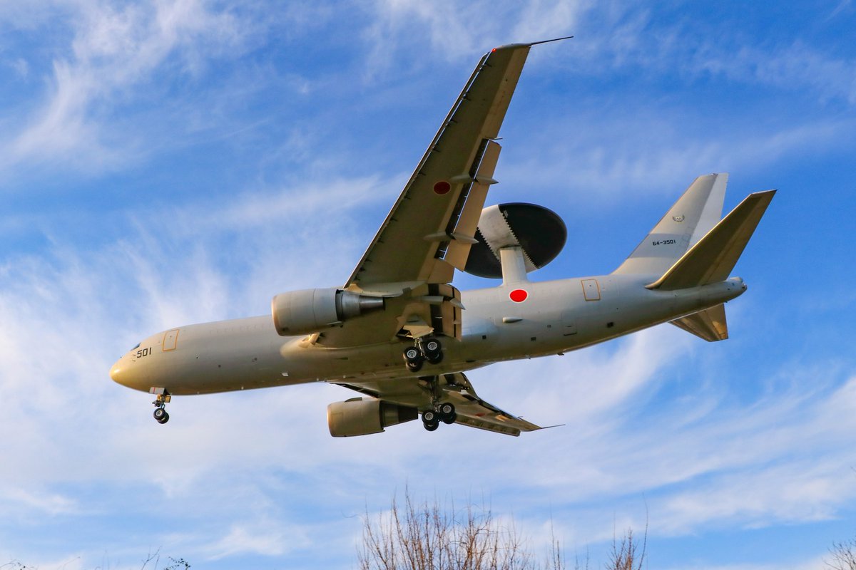 しまかぜ tweet media