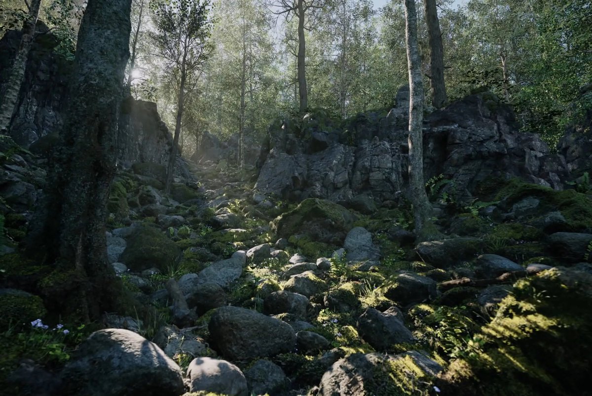 Pirat_Nation 🔴 tweet media