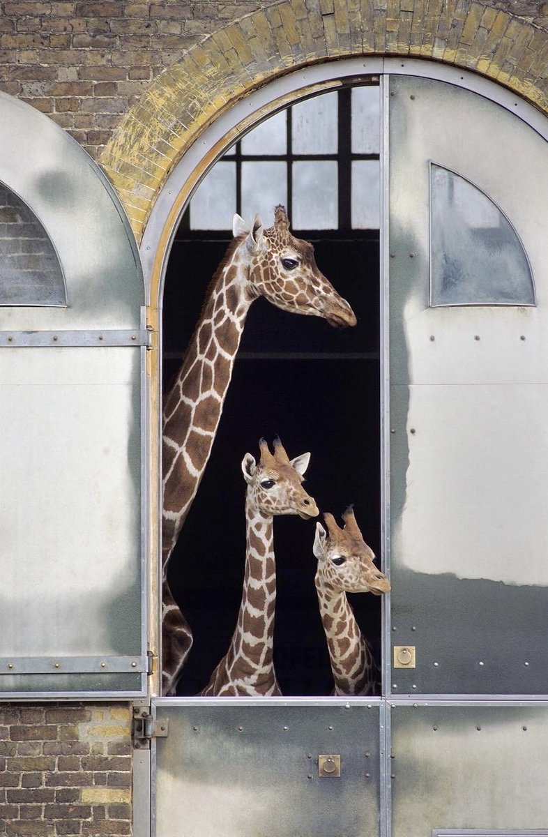 Jeff Overs tweet media