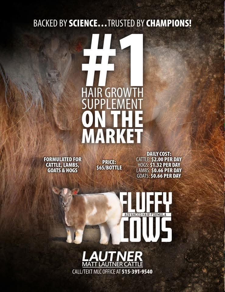 mattlautner's tweet image. #Sunday 

Fluffy Cows Hair Supplements Platinum Show Sposor At Iowa State University “The Classic” Cattle Show This Weekend In Ames, Iowa

Showbook On Showman App: 
showman.app/public_show_bo…

#OrderToday 
Call/Text MLC Office @ 515.391.9540 To Order For Nationwide Shipment 
#UPS