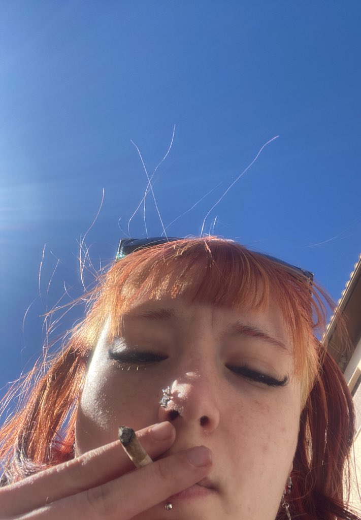 andy 🕷️ tweet media