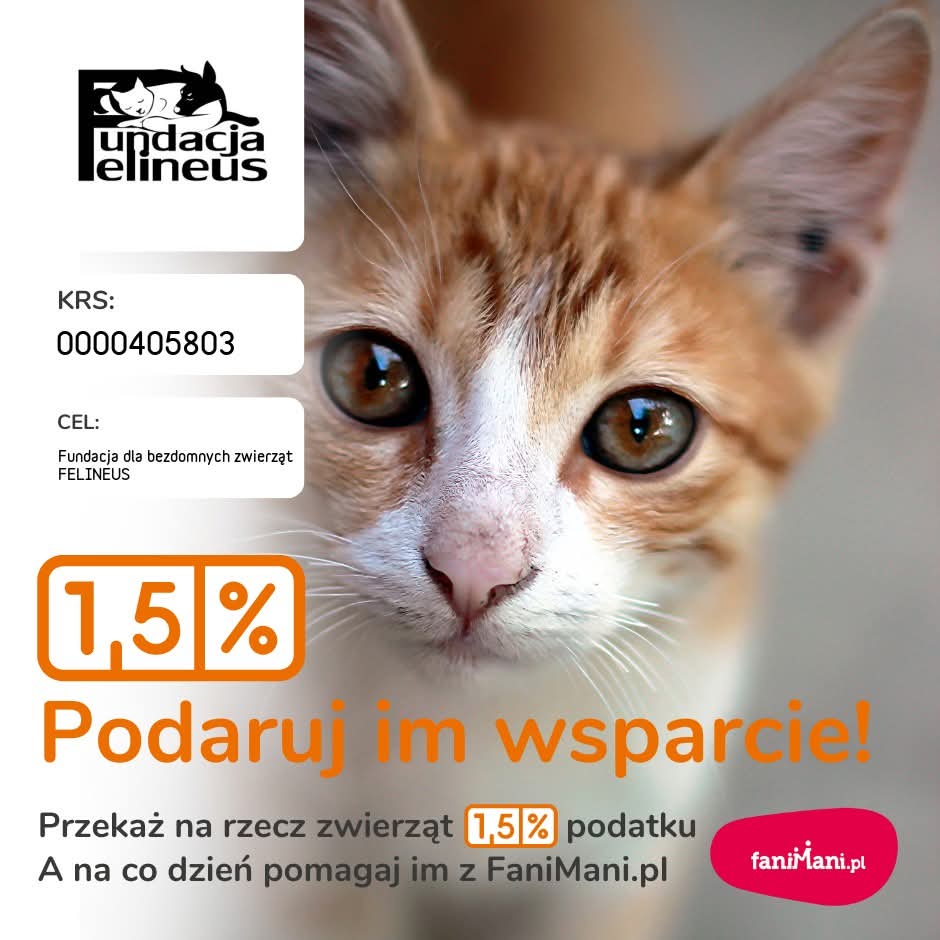 StaśkaM tweet media