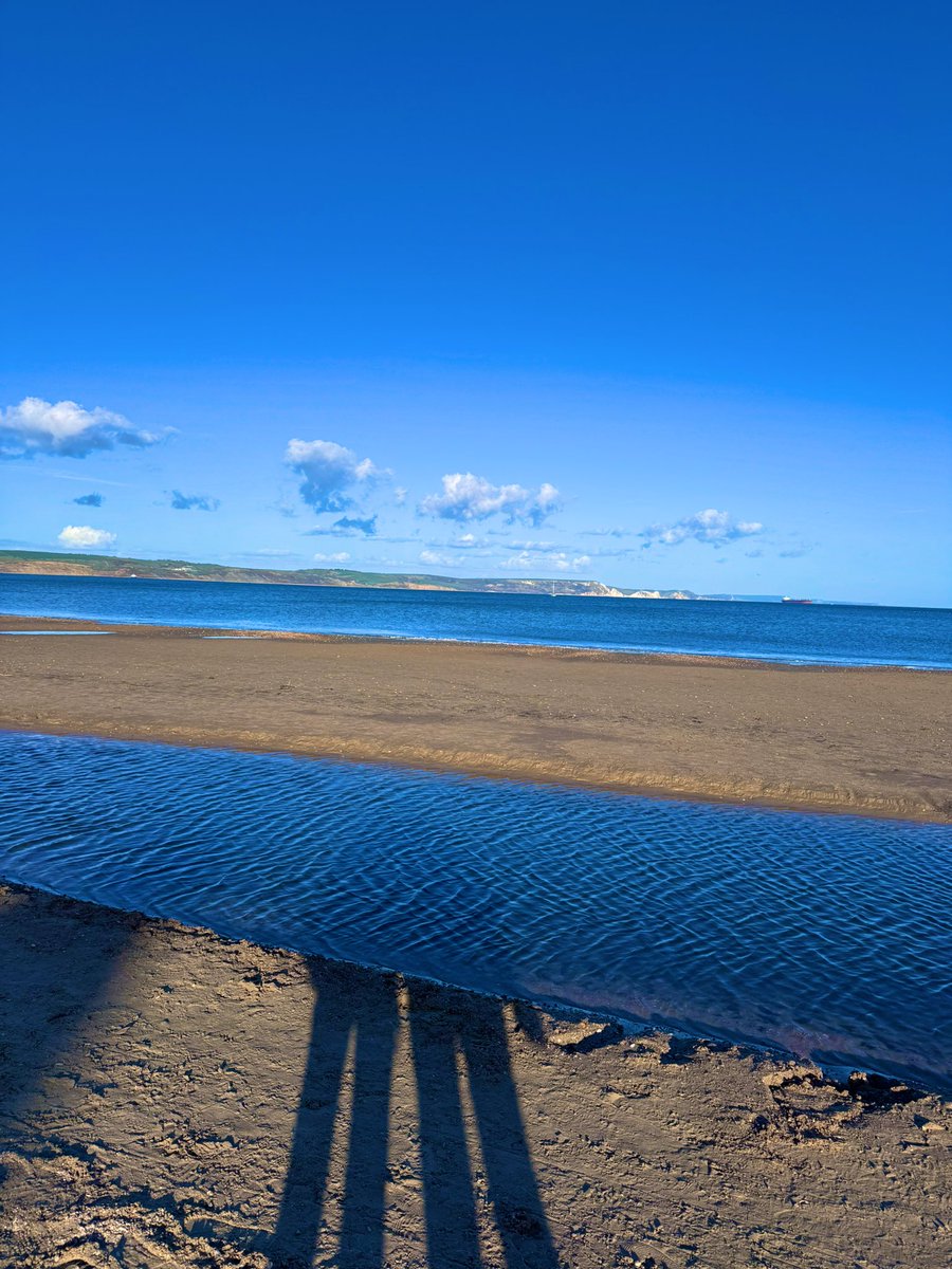 𝗣𝗲𝗿𝗿𝗶 tweet media