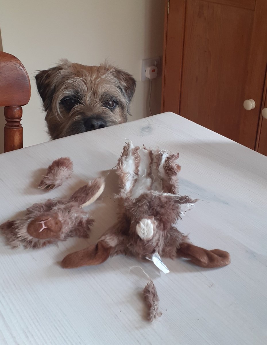 Rupert Rigsby tweet media