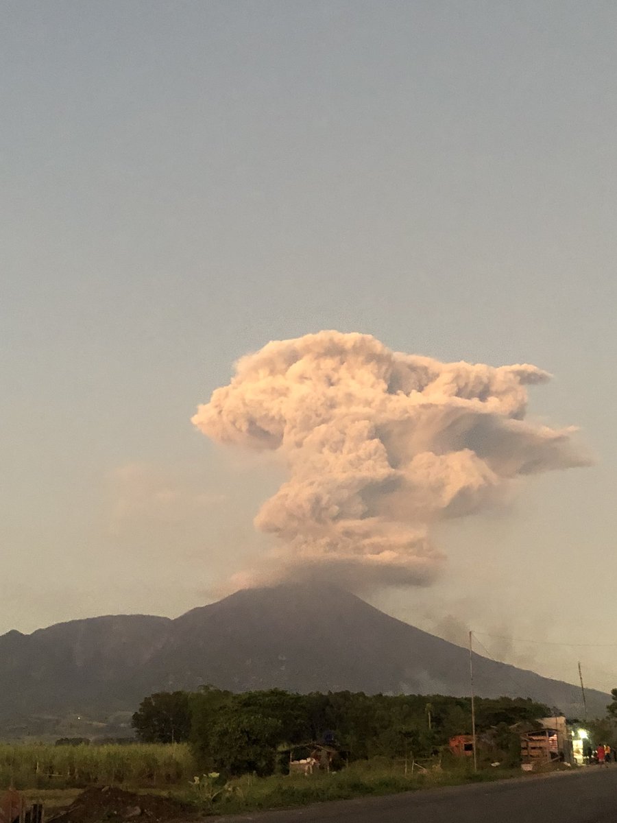 TAKE ME 🏠 tweet media