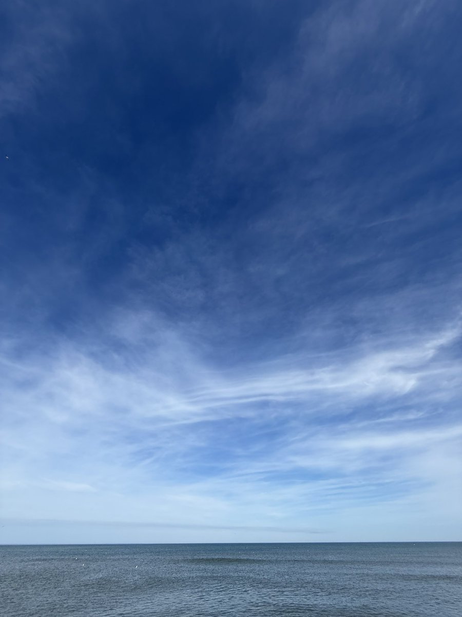 notwill3d's tweet photo. Been really enjoying NC. Weather hasn’t been the warmest but still better than the blizzard warning back home. https://t.co/lJynQFzTxf