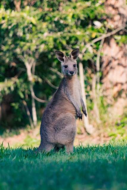 Garrett Shah tweet media