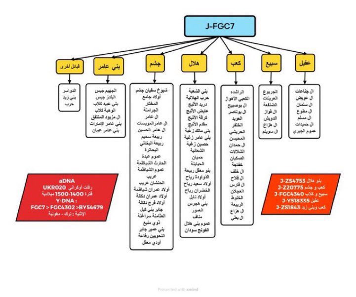 الهجرسي الهلالي tweet media