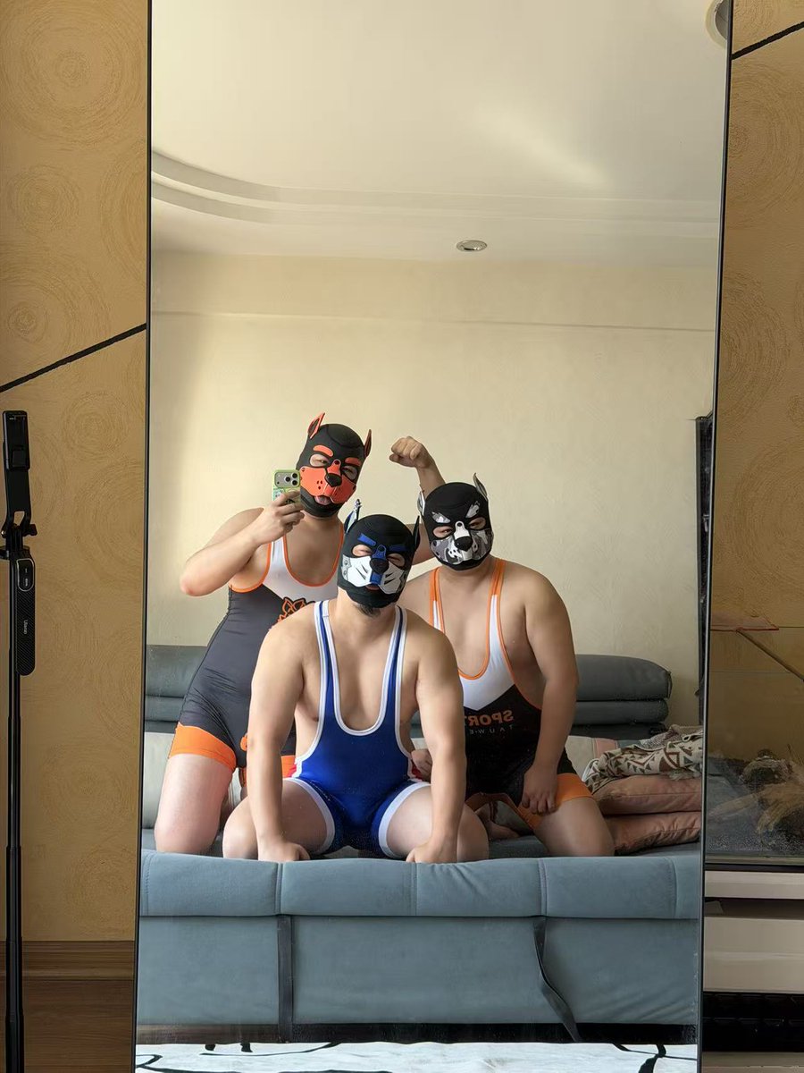 北风的风 tweet media