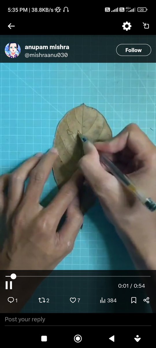 Clitorina Hodlnova tweet media