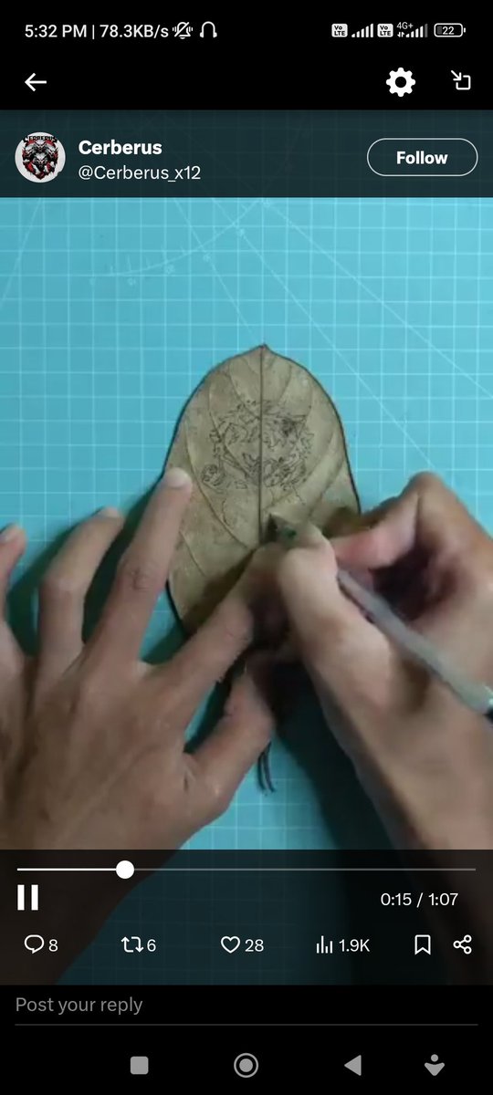 Clitorina Hodlnova tweet media