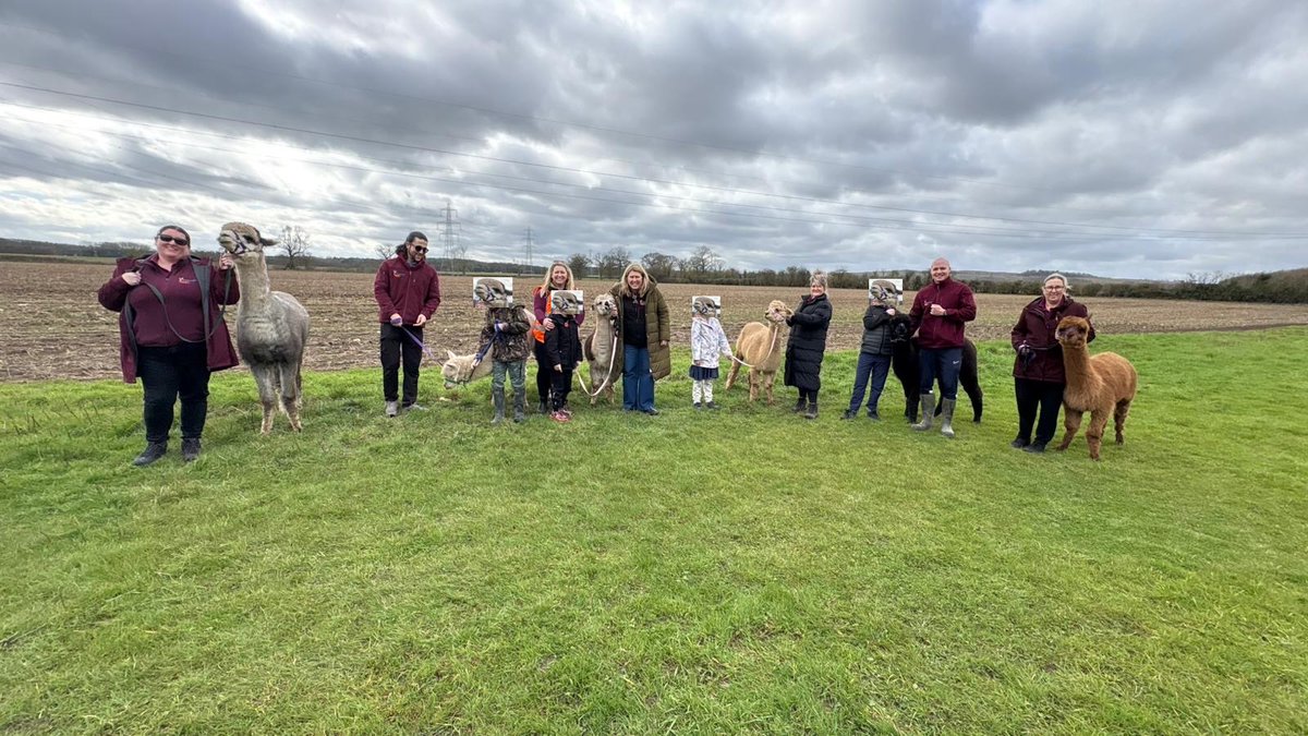KB_Education_'s tweet photo. Had the Absolute best time last week walking Alpacas! Definitely worth a visit 😍 🦙🦙🦙https://t.co/sP8uIdKSyL https://t.co/ItOT5Q2OGE