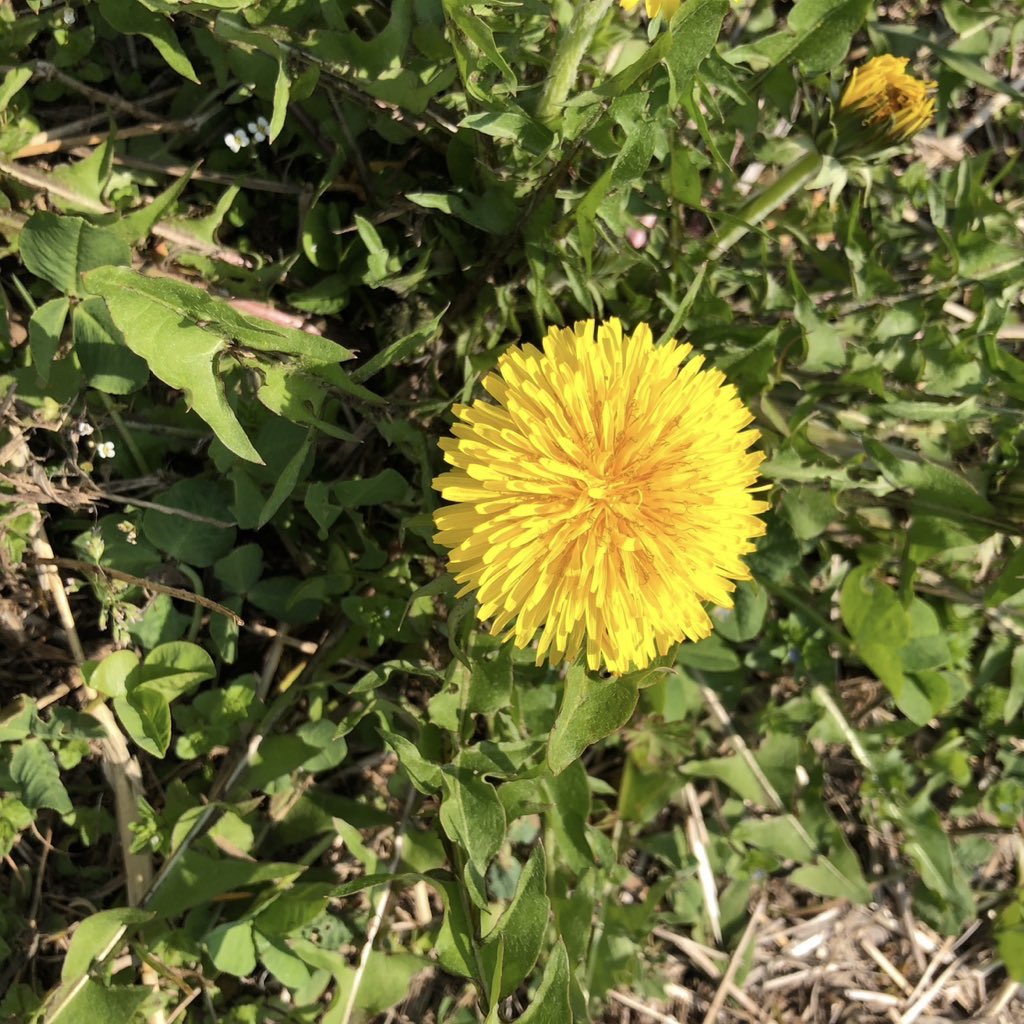 冥夢 meimu tweet media